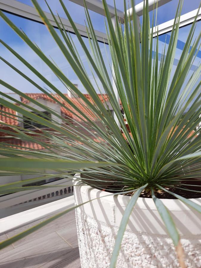 Sitius 5B - New Seaview Apartment With Rooftop Terrace In Historical Centre Sitio Da Ναζαρέ Εξωτερικό φωτογραφία